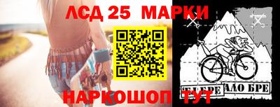 стафф Славгород