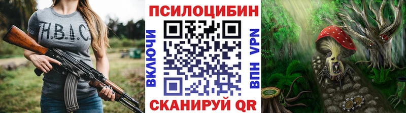 Псилоцибиновые грибы Cubensis  мориарти какой сайт  Северобайкальск 
