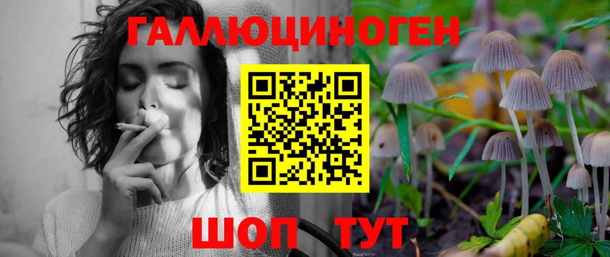 Псилоцибиновые грибы Cubensis  Вход с VPN  Псилоцибиновые грибы прущие грибы  Северобайкальск 